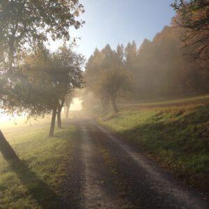 Imke Otto - Trauerbegleitung